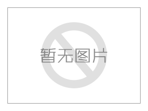 安徽裝飾砂漿廠家外墻裝飾砂漿價格彩色裝飾砂漿